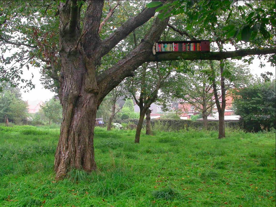 Libraries As Gardens